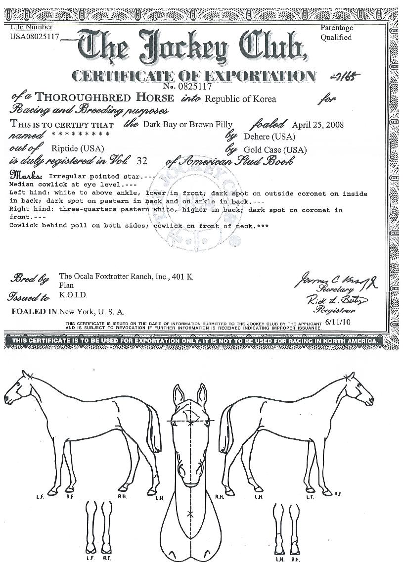 ÇѸ²·çºñÀÇ Ãø¸é,¿ì¸é,µÞ¸é,µÎ»ó,´Ù¸®ÀÇ Æ¯Â¡µµÇØ