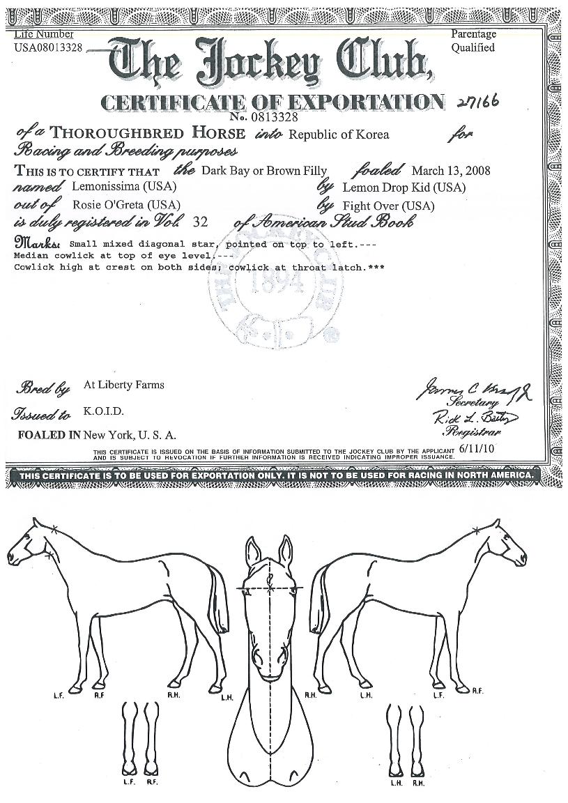 ����Ͻø��� ����,���,�޸�,�λ�,�ٸ��� Ư¡����