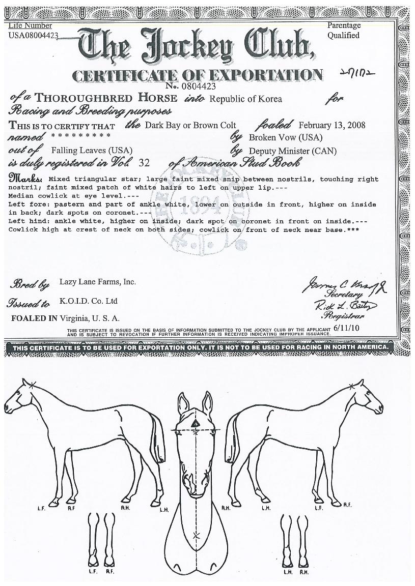 ��Ʈ�ǽ��� ����,���,�޸�,�λ�,�ٸ��� Ư¡����