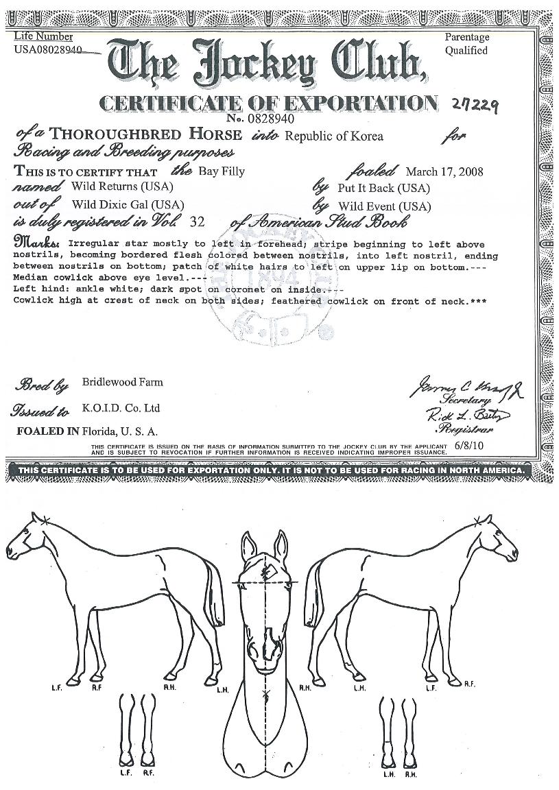 �������� ����,���,�޸�,�λ�,�ٸ��� Ư¡����