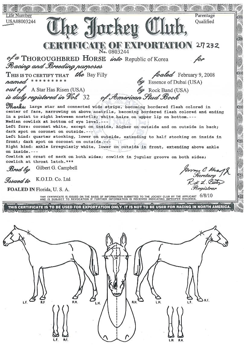 �ɿ����� ����,���,�޸�,�λ�,�ٸ��� Ư¡����