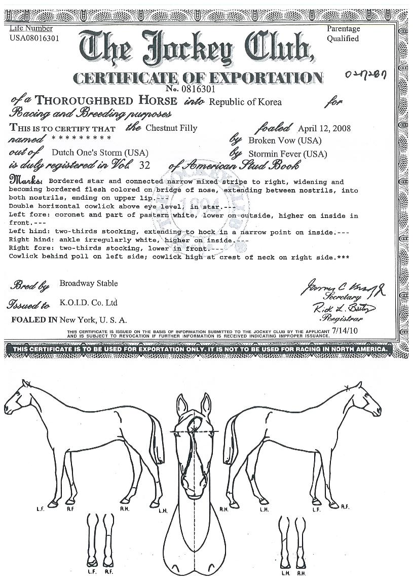 �����Ƽ�� ����,���,�޸�,�λ�,�ٸ��� Ư¡����