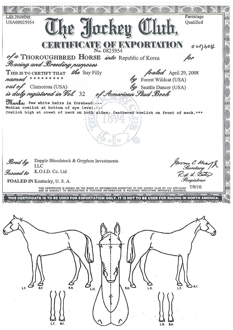 ´ºÀ©µðÀÇ Ãø¸é,¿ì¸é,µÞ¸é,µÎ»ó,´Ù¸®ÀÇ Æ¯Â¡µµÇØ