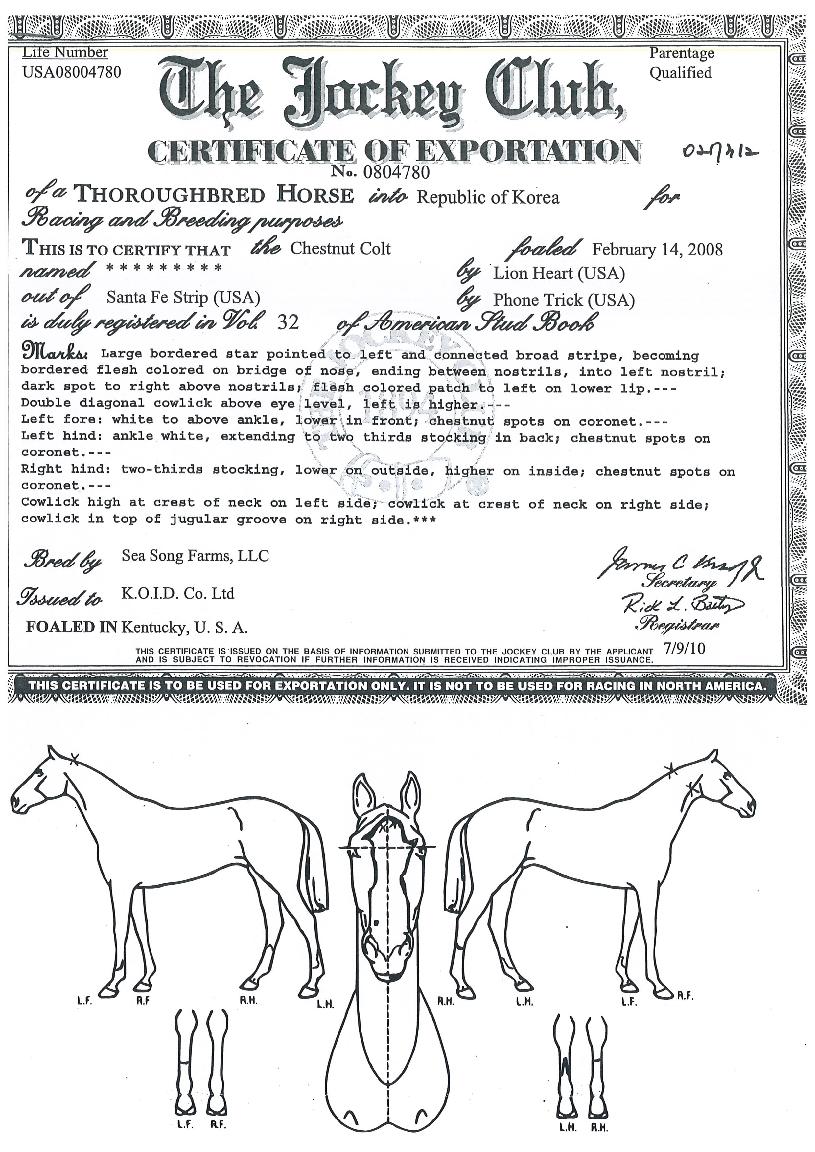 ���̾��Ÿ�� ����,���,�޸�,�λ�,�ٸ��� Ư¡����