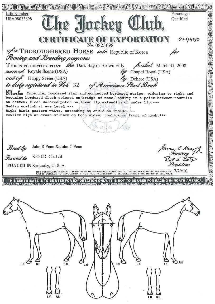 ·Î¿½ÅÀÇ Ãø¸é,¿ì¸é,µÞ¸é,µÎ»ó,´Ù¸®ÀÇ Æ¯Â¡µµÇØ