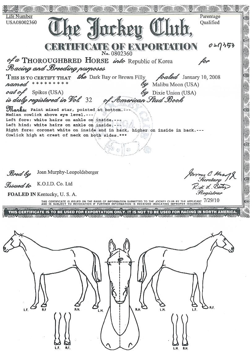 ·ç³ª½ºÆÄÀÌÅ©ÀÇ Ãø¸é,¿ì¸é,µÞ¸é,µÎ»ó,´Ù¸®ÀÇ Æ¯Â¡µµÇØ