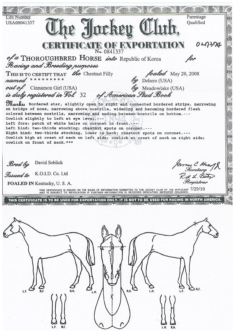 ���������� ����,���,�޸�,�λ�,�ٸ��� Ư¡����