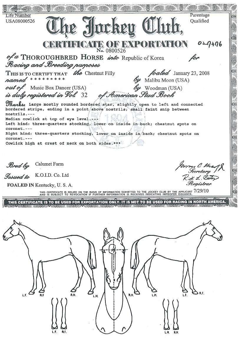 ¸»¸®ºÎ½ºÄ«ÀÌÀÇ Ãø¸é,¿ì¸é,µÞ¸é,µÎ»ó,´Ù¸®ÀÇ Æ¯Â¡µµÇØ