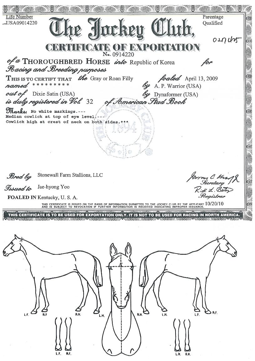 ���Ŀ��� ����,���,�޸�,�λ�,�ٸ��� Ư¡����