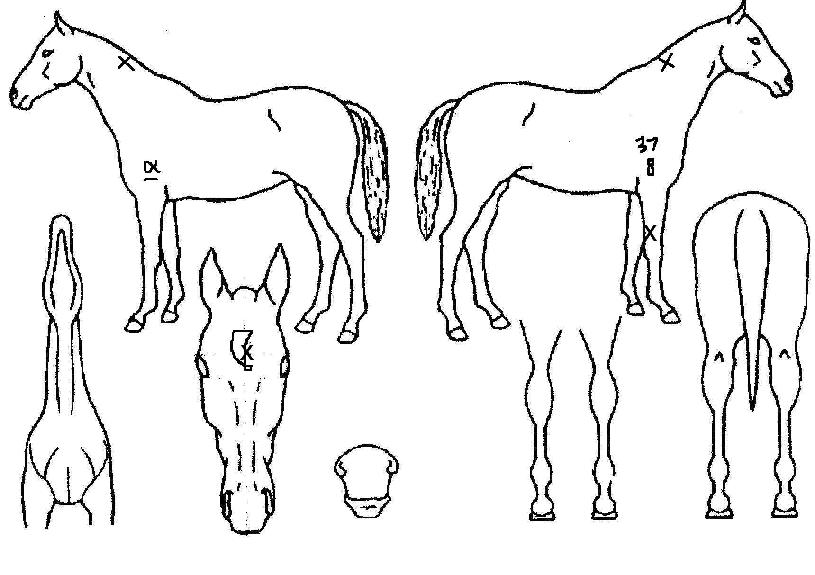 ��õ���� ����,���,�޸�,�λ�,�ٸ��� Ư¡����