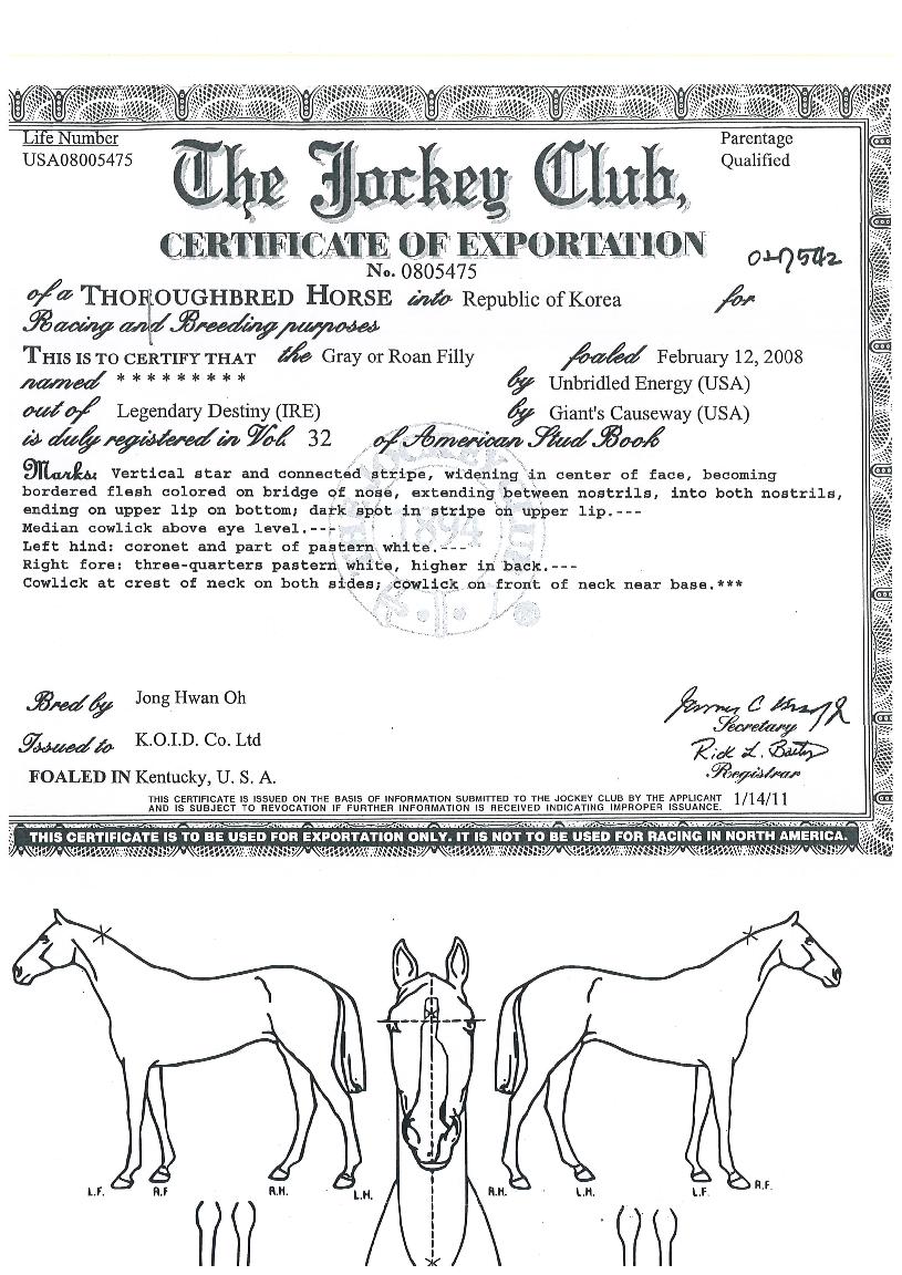 ÇöóÀÌÀ§³ÊÀÇ Ãø¸é,¿ì¸é,µÞ¸é,µÎ»ó,´Ù¸®ÀÇ Æ¯Â¡µµÇØ