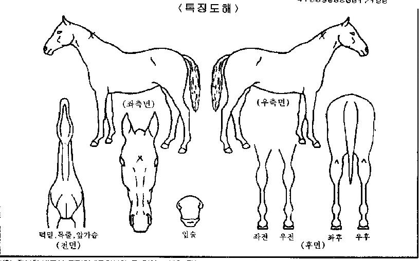 �������� ����,���,�޸�,�λ�,�ٸ��� Ư¡����