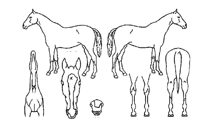 �ܵ�𿡰��� ����,���,�޸�,�λ�,�ٸ��� Ư¡����