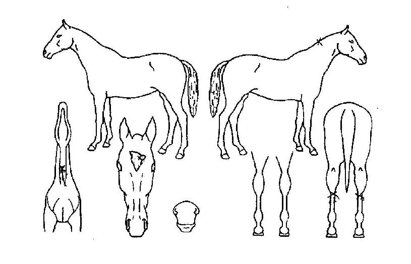 ����Ÿ�� ����,���,�޸�,�λ�,�ٸ��� Ư¡����