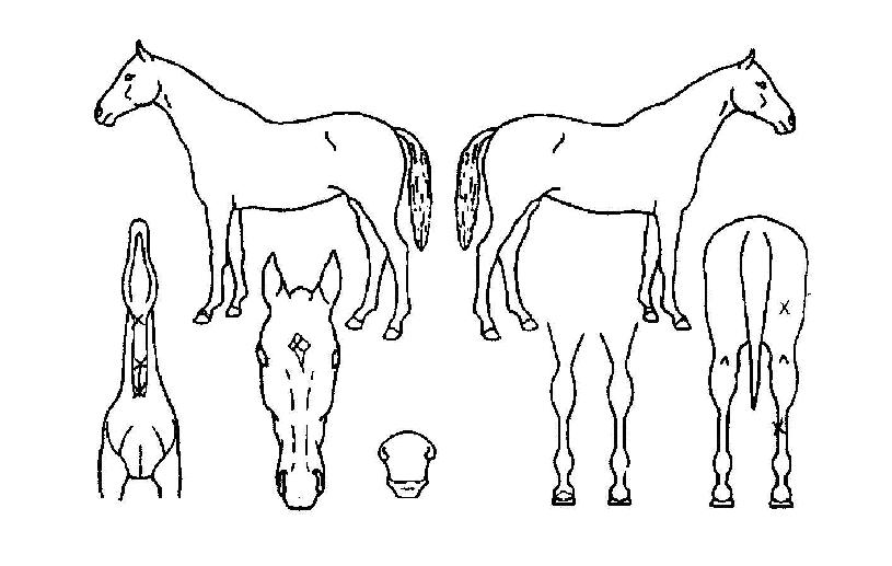 ������ġ�� ����,���,�޸�,�λ�,�ٸ��� Ư¡����