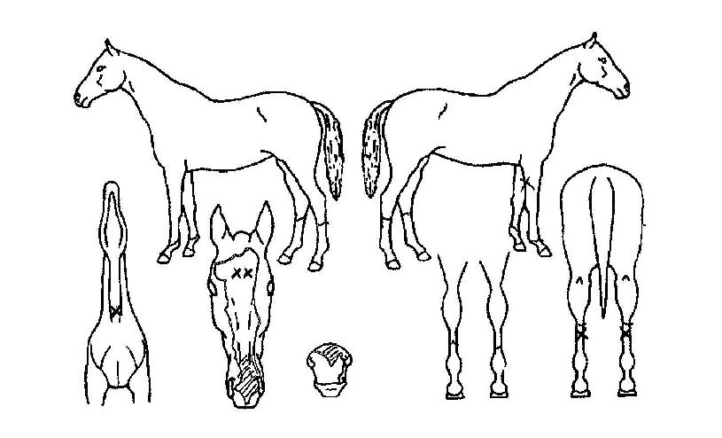 ��ũ�� ����,���,�޸�,�λ�,�ٸ��� Ư¡����