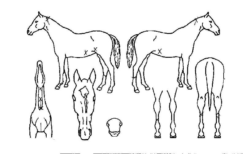 ���������� ����,���,�޸�,�λ�,�ٸ��� Ư¡����