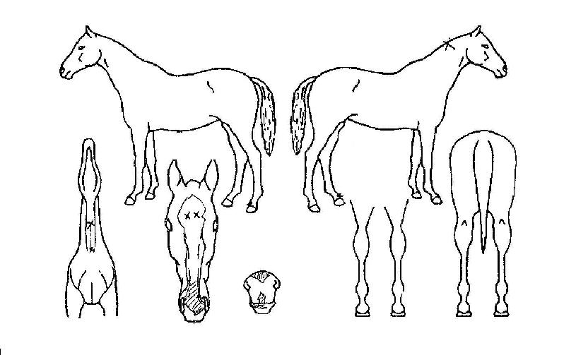 ��Ű������ ����,���,�޸�,�λ�,�ٸ��� Ư¡����