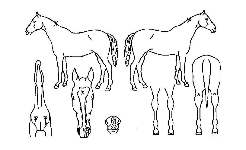 ����Ű���� ����,���,�޸�,�λ�,�ٸ��� Ư¡����