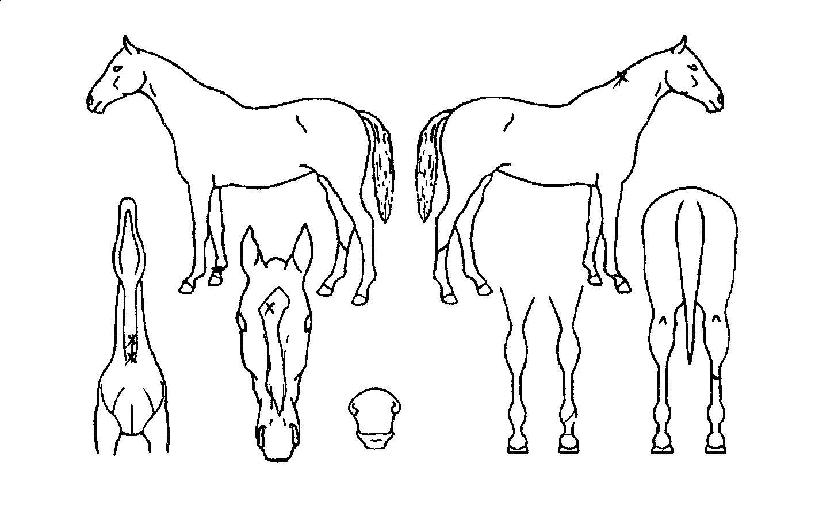 �����ǹ̼��� ����,���,�޸�,�λ�,�ٸ��� Ư¡����