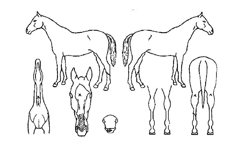 �㸮���������� ����,���,�޸�,�λ�,�ٸ��� Ư¡����