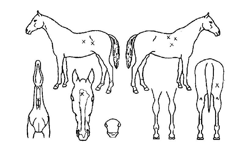 °ø°¨´ëÀÇ Ãø¸é,¿ì¸é,µÞ¸é,µÎ»ó,´Ù¸®ÀÇ Æ¯Â¡µµÇØ