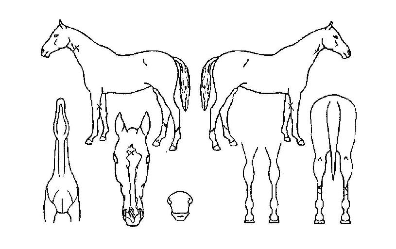 ����ũ�� ����,���,�޸�,�λ�,�ٸ��� Ư¡����