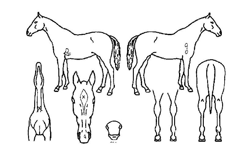 �÷���ķ���� ����,���,�޸�,�λ�,�ٸ��� Ư¡����