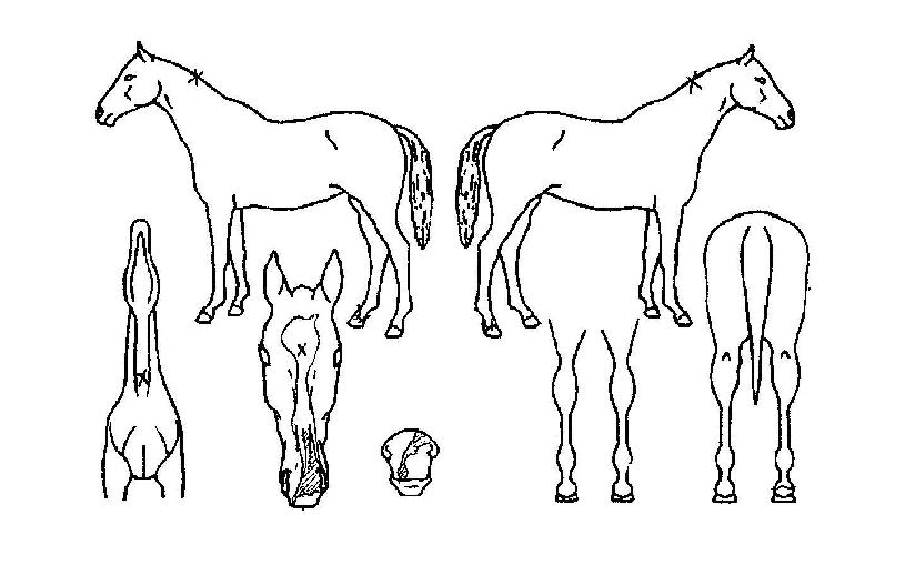 ���̺����� ����,���,�޸�,�λ�,�ٸ��� Ư¡����