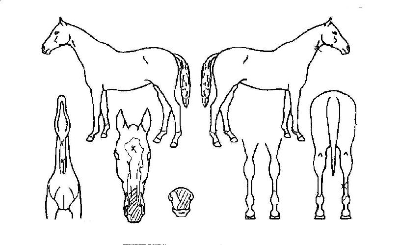 �������� ����,���,�޸�,�λ�,�ٸ��� Ư¡����