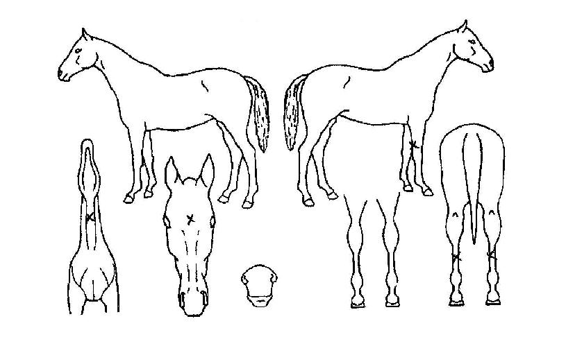 ��̺�Ȱ�� ����,���,�޸�,�λ�,�ٸ��� Ư¡����