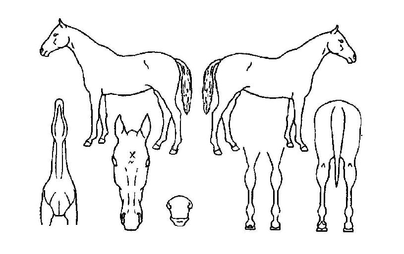 ��ũ������� ����,���,�޸�,�λ�,�ٸ��� Ư¡����