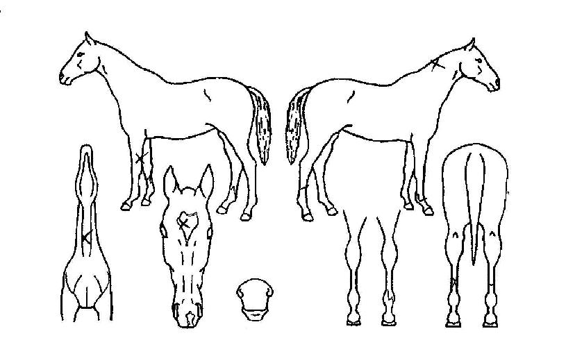 �����Ͽ��� ����,���,�޸�,�λ�,�ٸ��� Ư¡����