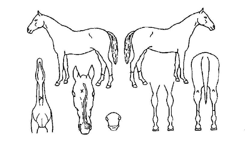 ����ʸ��� ����,���,�޸�,�λ�,�ٸ��� Ư¡����