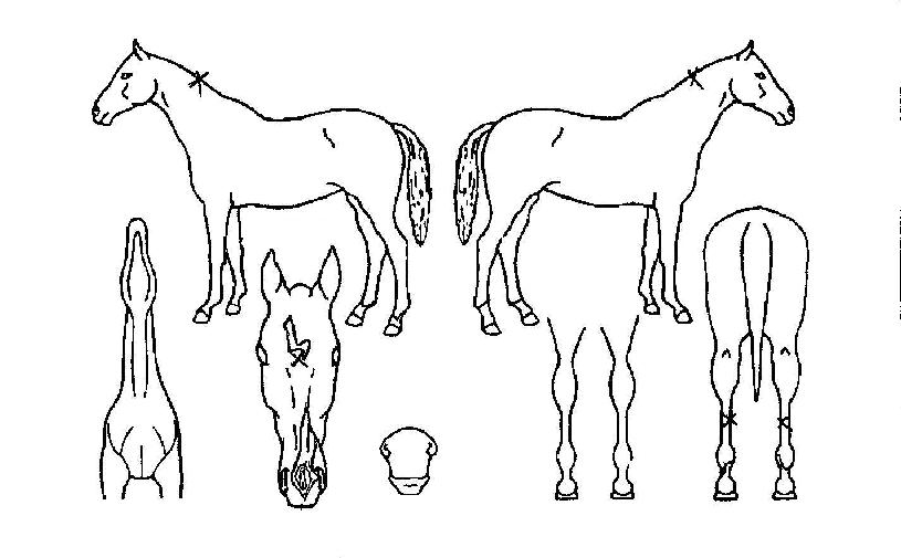 ���ֿ����� ����,���,�޸�,�λ�,�ٸ��� Ư¡����