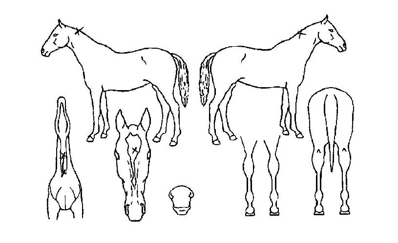 �ʿ����� ����,���,�޸�,�λ�,�ٸ��� Ư¡����