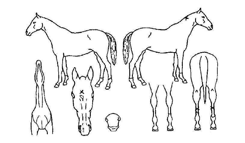 ��Ʈ������ ����,���,�޸�,�λ�,�ٸ��� Ư¡����