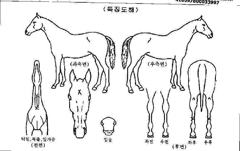 �ǽ�����Ŀ�� ����,���,�޸�,�λ�,�ٸ��� Ư¡����