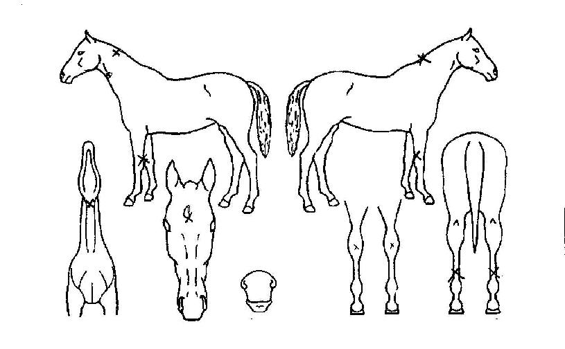 ���Ǻ������� ����,���,�޸�,�λ�,�ٸ��� Ư¡����