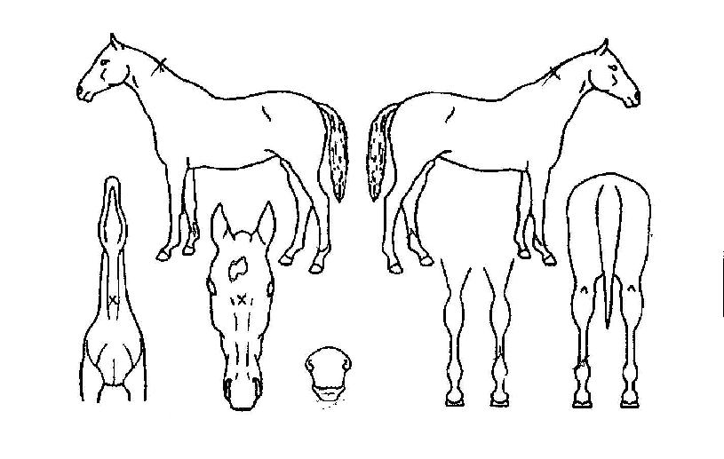 �ռ����� ����,���,�޸�,�λ�,�ٸ��� Ư¡����