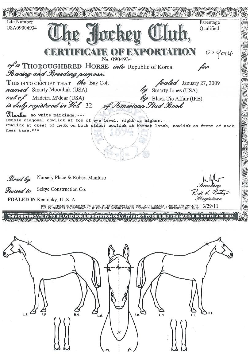 ����Ƽ������ ����,���,�޸�,�λ�,�ٸ��� Ư¡����