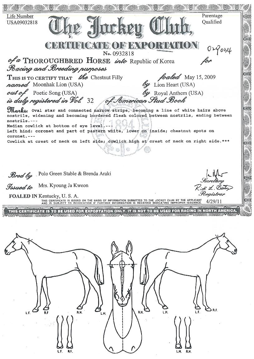 ���ж��̾��� ����,���,�޸�,�λ�,�ٸ��� Ư¡����