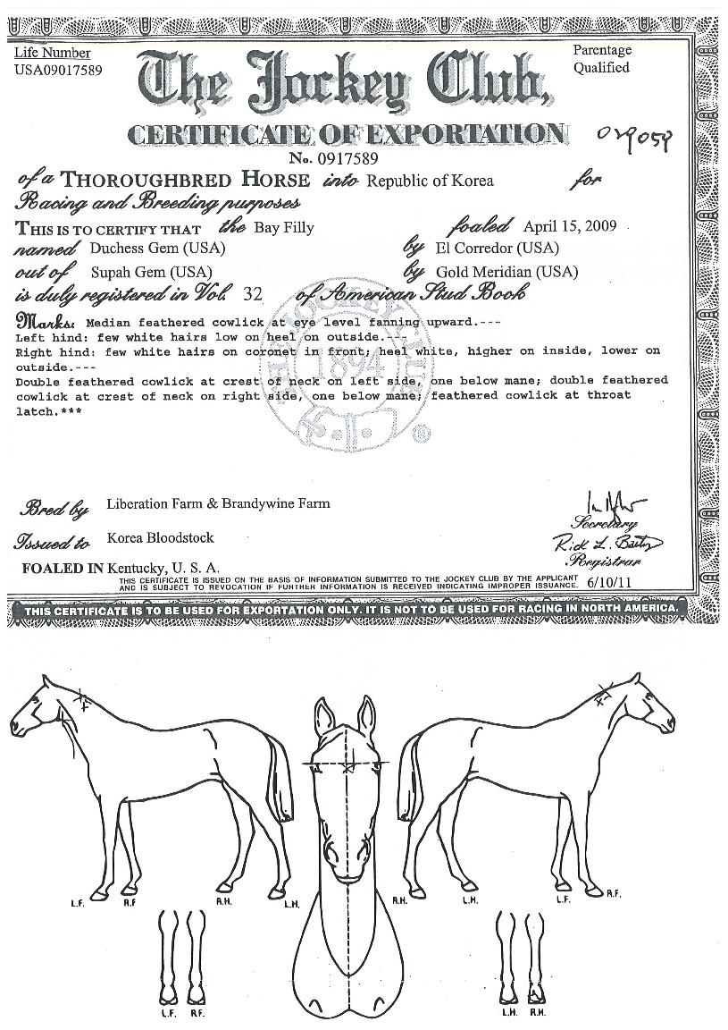 ��ó������ ����,���,�޸�,�λ�,�ٸ��� Ư¡����