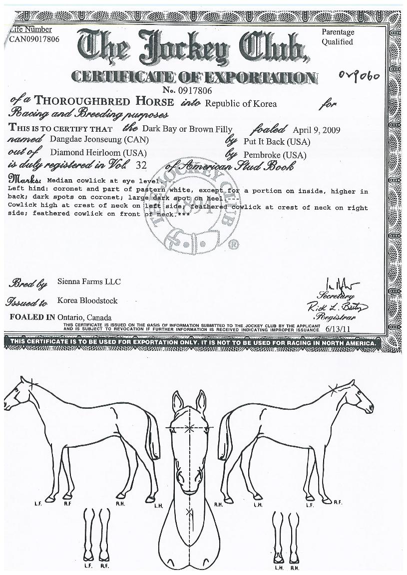 ´ç´ëÀü½ÂÀÇ Ãø¸é,¿ì¸é,µÞ¸é,µÎ»ó,´Ù¸®ÀÇ Æ¯Â¡µµÇØ