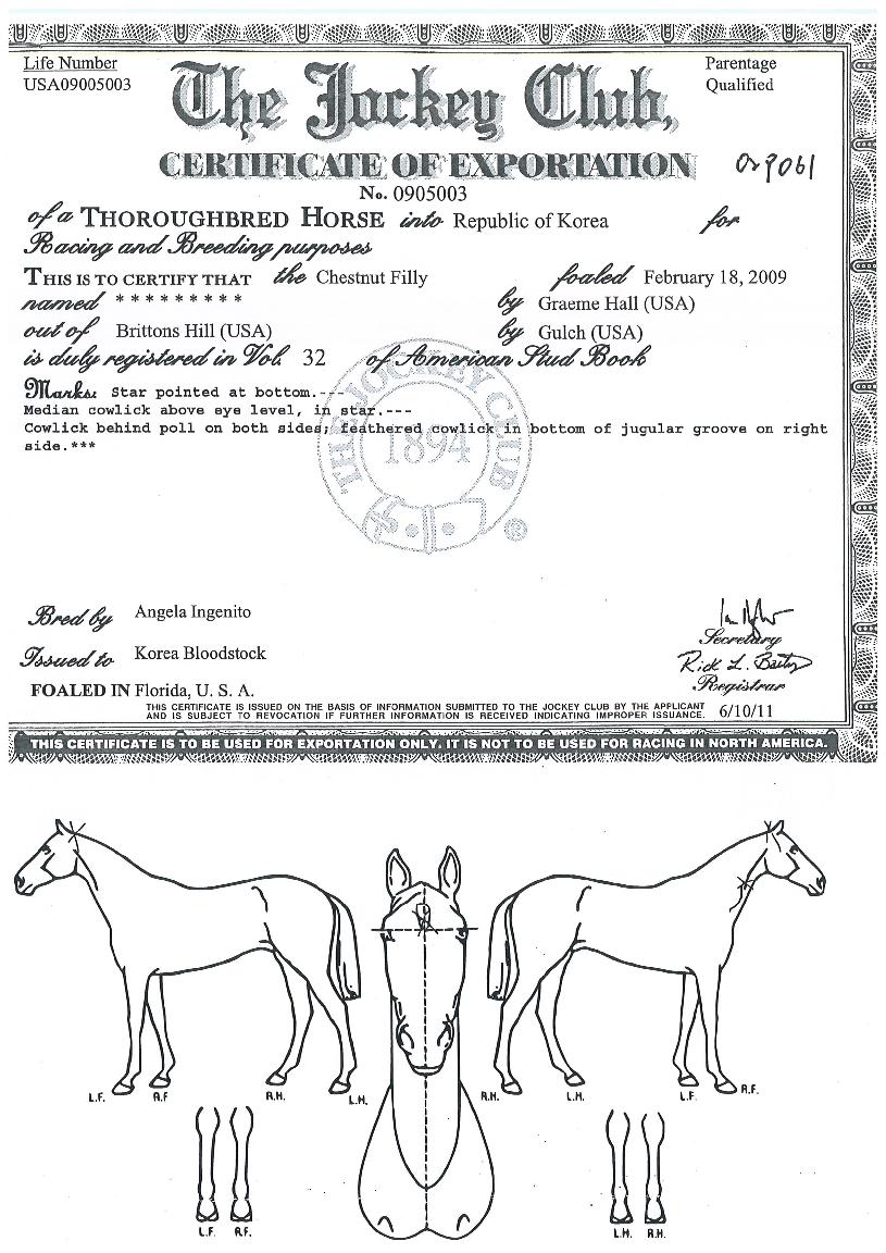 ´ë»ê¿©Á¦ÀÇ Ãø¸é,¿ì¸é,µÞ¸é,µÎ»ó,´Ù¸®ÀÇ Æ¯Â¡µµÇØ