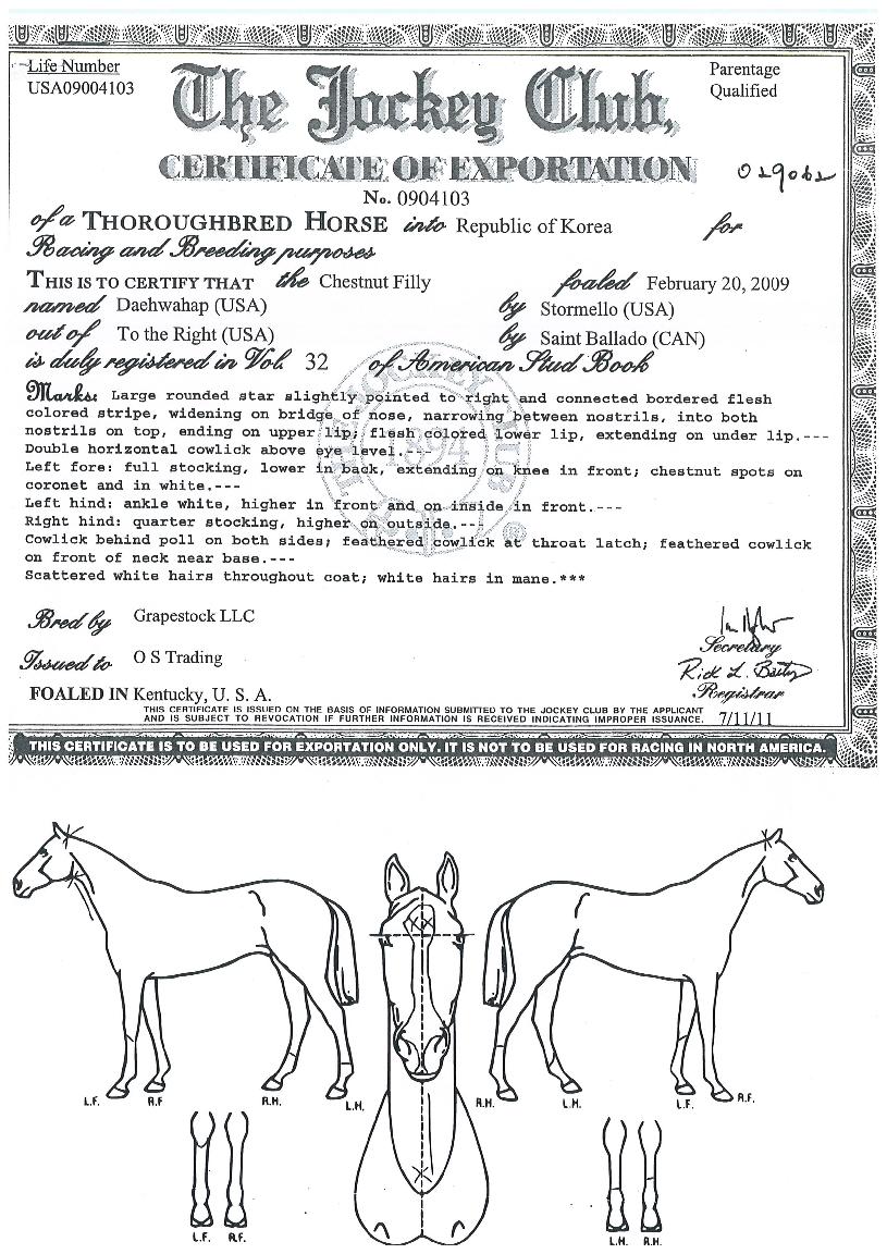 ��ȭ���� ����,���,�޸�,�λ�,�ٸ��� Ư¡����