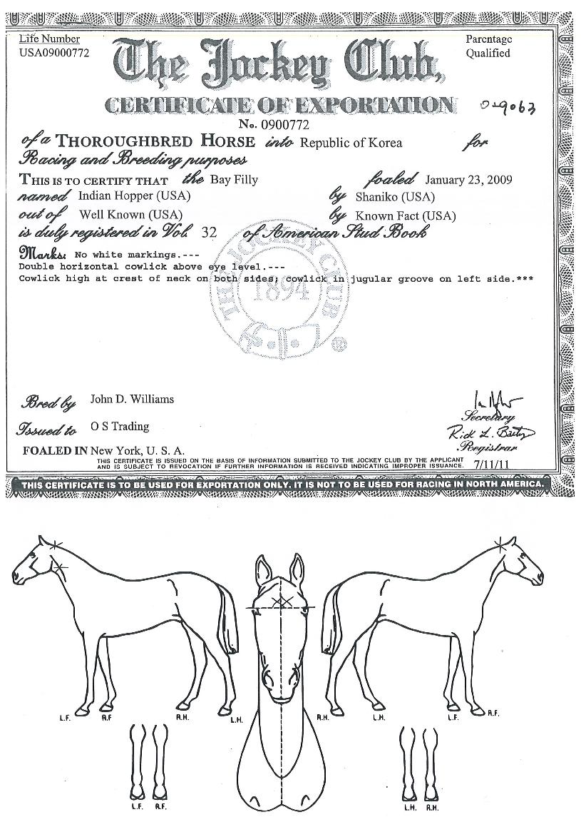 �ε��ȣ���� ����,���,�޸�,�λ�,�ٸ��� Ư¡����