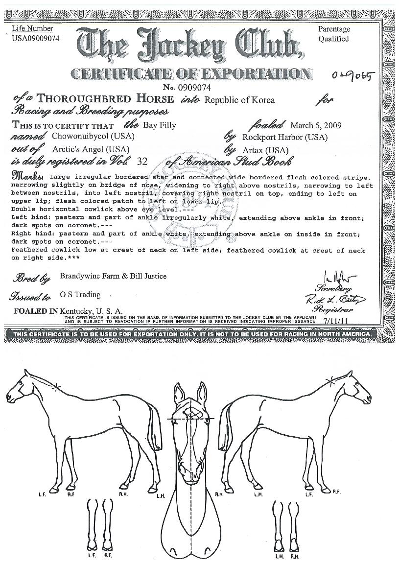 �ʿ��Ǻ��� ����,���,�޸�,�λ�,�ٸ��� Ư¡����