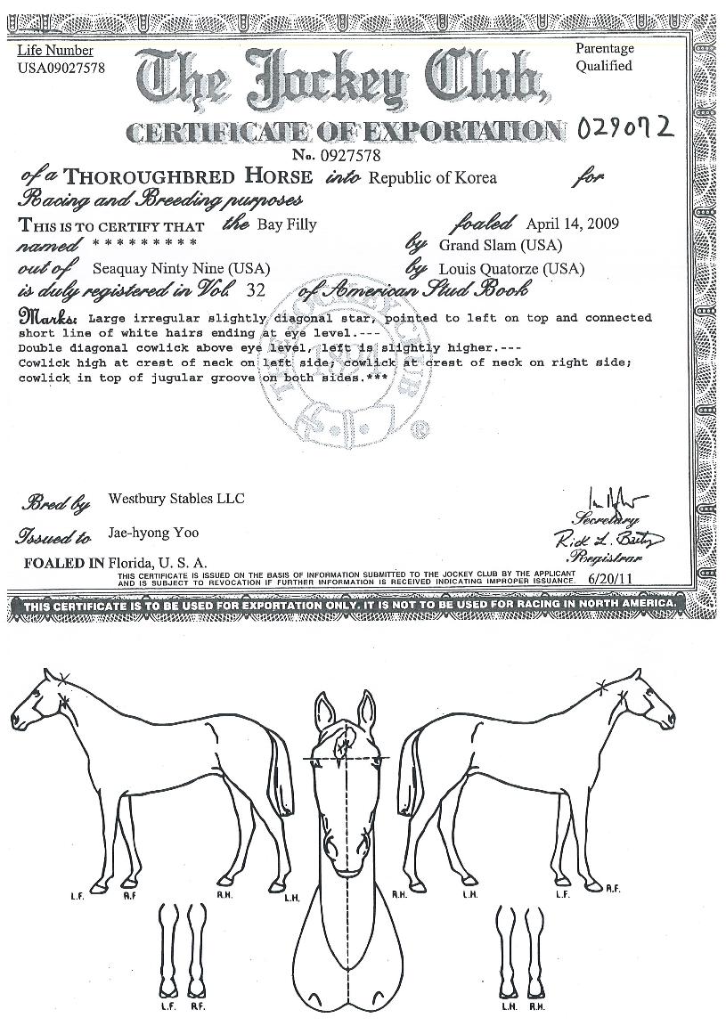 ¹Ù¶÷²ÉÀÇ Ãø¸é,¿ì¸é,µÞ¸é,µÎ»ó,´Ù¸®ÀÇ Æ¯Â¡µµÇØ