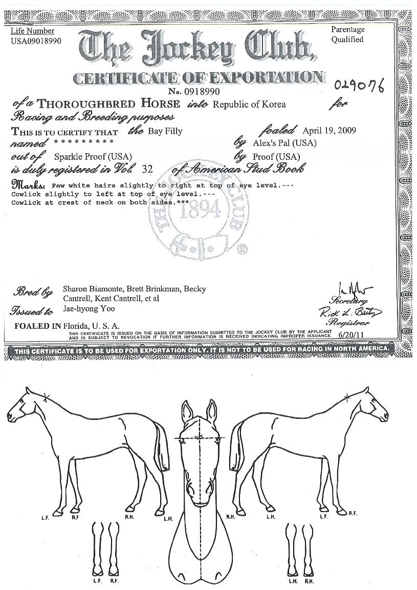 ����¡���̽��� ����,���,�޸�,�λ�,�ٸ��� Ư¡����